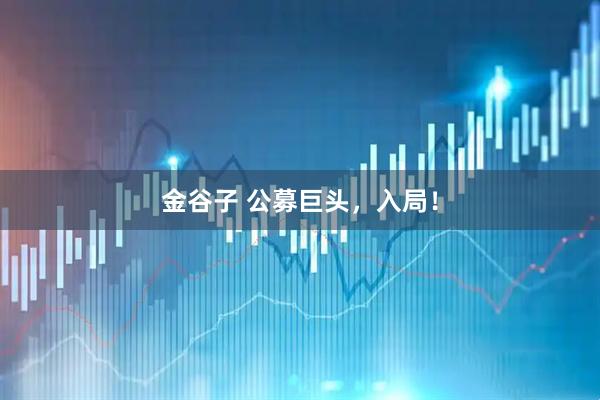 金谷子 公募巨头，入局！