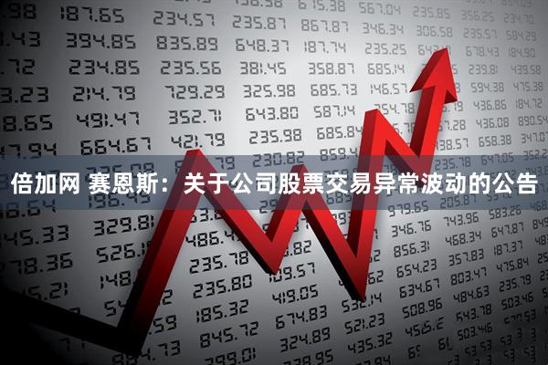倍加网 赛恩斯：关于公司股票交易异常波动的公告