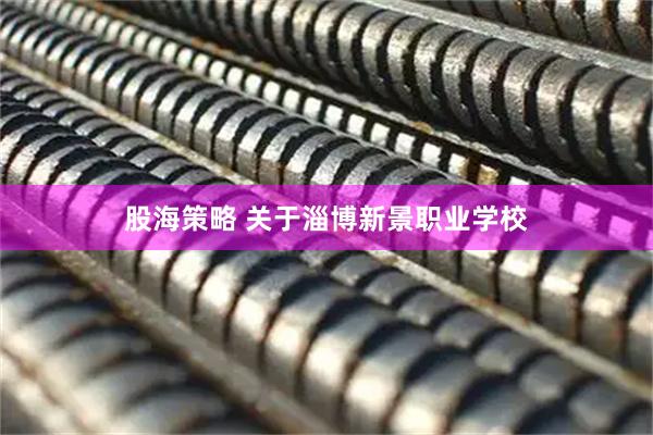 股海策略 关于淄博新景职业学校